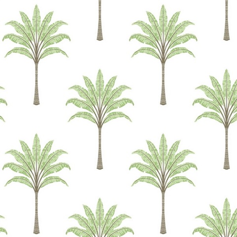 Montgomery Palm Botanical Green Tea Peel and Stick Wallpaper