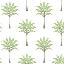 Montgomery Palm Botanical Green Tea Peel and Stick Wallpaper