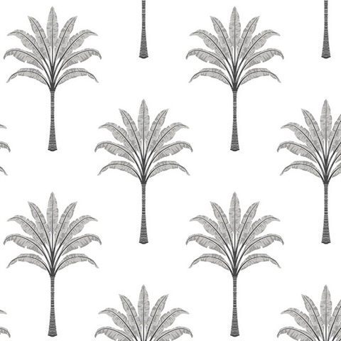 Montgomery Palm Botanical Harbor Grey Peel and Stick Wallpaper