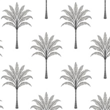 Montgomery Palm Botanical Harbor Grey Peel and Stick Wallpaper