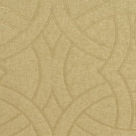 Morgan Chamois