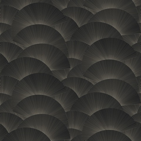 Morning Shell Black & Grey Scallops Wallpaper
