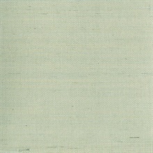 Mugen Light Green Grasscloth Wallpaper