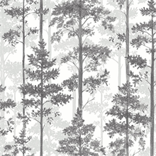 Multicolor Pine Tree Wallpaper