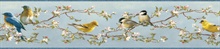 Songbird Multicolor Floral Trail Border