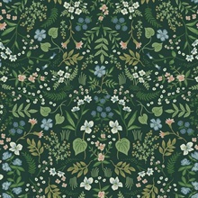 Multicolor Wildwood Floral Wildflowers and Greenery Rifle Paper Wallpa