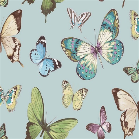 Multicolored Commercial Butterflies Wallpaper