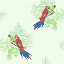 Multicolored Commercial Parrot Birds Wallpaper
