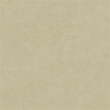 Muro Congo Beige Italian Wallpaper