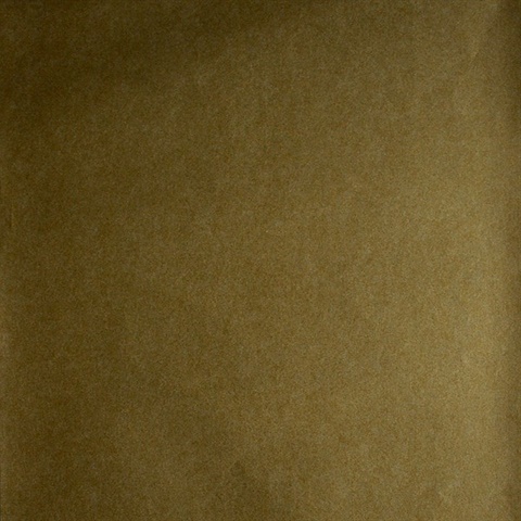 Mychelle Gold Texture Wallpaper