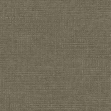 Myralyn Nightspindle