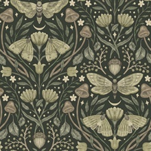 Mystic Moth Dark Green Forest Magic Wallpaper