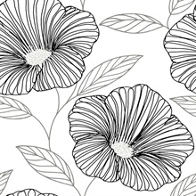 Mythic Black and White Large Floral Wallpaper