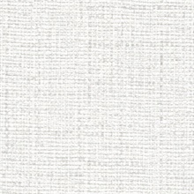 Nadia Silk Wall Protection