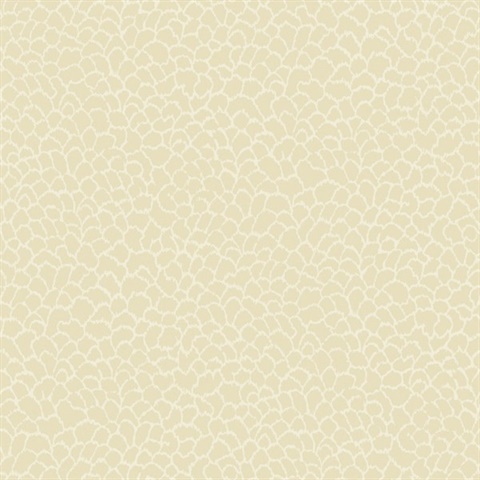 Nadie Camel African Savanna Wallpaper