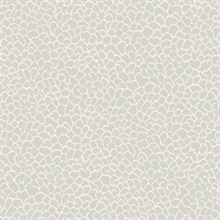 Nadie Grey African Savanna Wallpaper