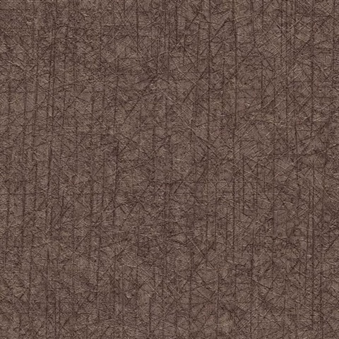 Nagano Cambium
