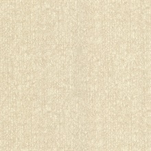 Nagano Taupe Distressed Textured Wallpaper