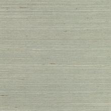Nantong Light Blue Grasscloth