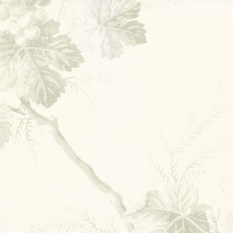 Napa Valley Ghost Grape Toile