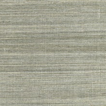 Nathan Silver Grasscloth