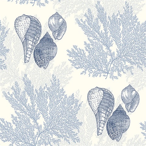 Nauset Blue Coastal Beach Seashell Wallpaper