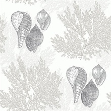 Nauset Cream Coastal Beach Seashell Wallpaper