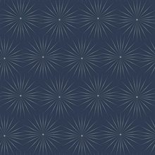 Navy Blue &amp; Silver Starlight Modern Metallic Sunburst Dots