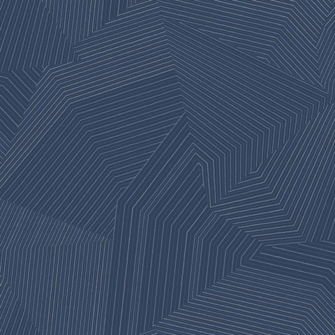 Navy Dotted Maze Geometric Dot & Line Wallpaper