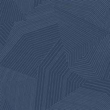 Navy Dotted Maze Geometric Dot & Line Wallpaper
