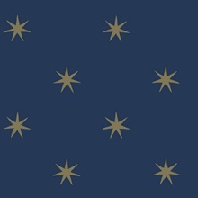 Navy & Metallic Gold Star Splendor Peel & Stick Wallpaper