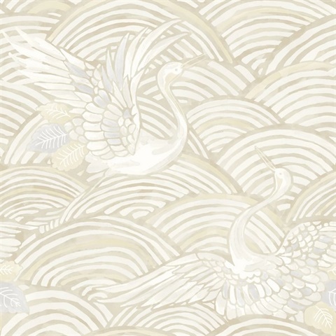 Neutral Egret Oceanic Seabirds Wallpaper
