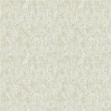 Neutral &amp; Gold Shimmering Patina Texture Wallpaper