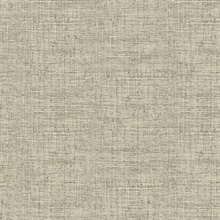 Neutral Papyrus Weave Peel and Stick Wallpaper