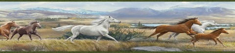 Neutral Sally Blue Wild Horses Portrait Border