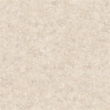 Neutral Scratch Texture