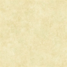 Neutral Tearose Texture