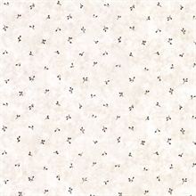 Neutrals Berry Spot Wallpaper