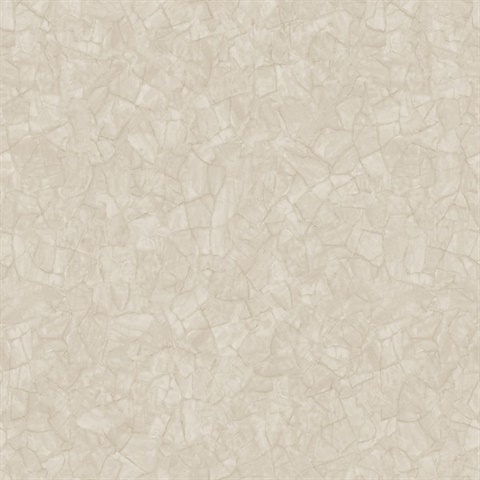 Neutrals Celine Texture Wallpaper