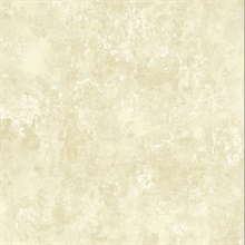 Neutrals Danby Marble