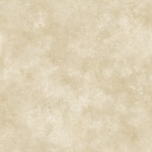 Neutrals Evan Texture