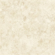 Neutrals Fusion Texture