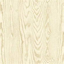 Nina Wood Sand Dunes Wallpaper
