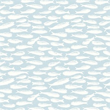 Nunkie Aqua Sardine Fish Wallpaper