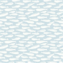 Nunkie Aqua Sardine Fish Wallpaper