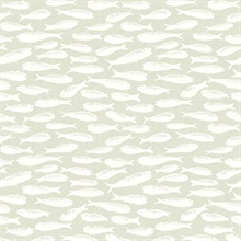 Nunkie Sage Sardine Fish Wallpaper