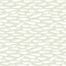 Nunkie Sage Sardine Fish Wallpaper