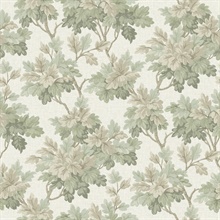 Oakcliff Sage Leaf Trail Wallpaper