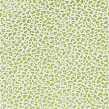 Ocelot Grass