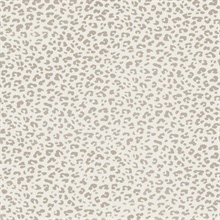 Ocelot Grey